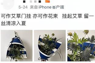 开云app官方网站下载安装截图4