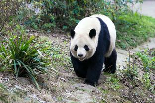 阿斯：西超杯决赛中场休息时，哈维在更衣室几乎没有任何反应